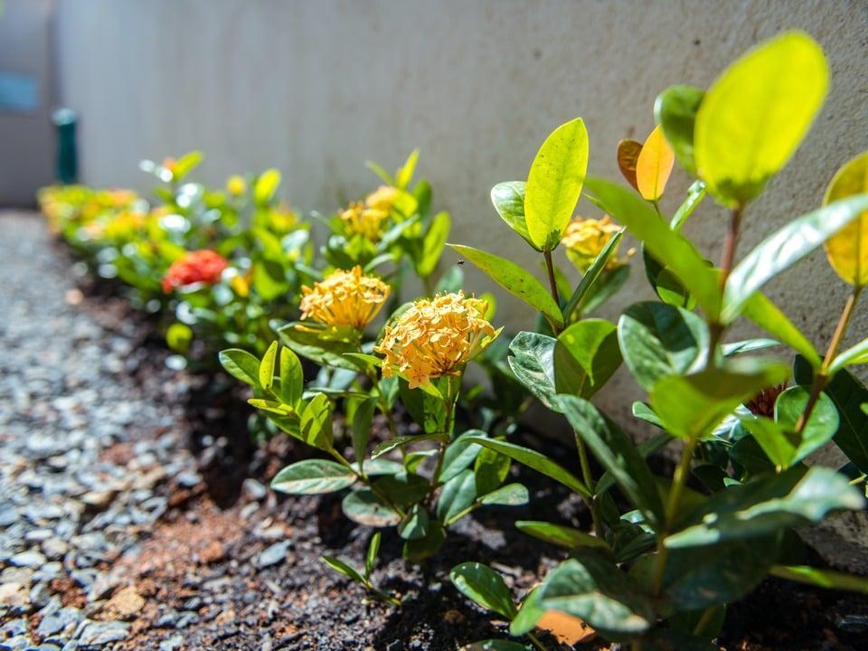 Pousada Carneirinho Capitólio エクステリア 写真